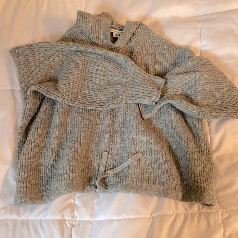 American Eagle Cropped Hoodie